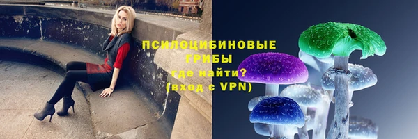 каннабис Осташков