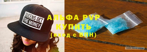 винт Пересвет