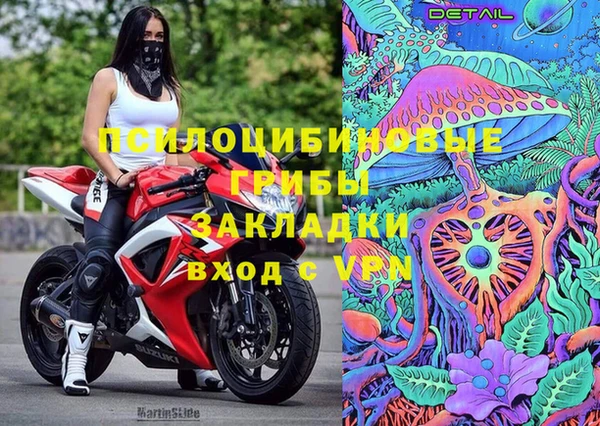 винт Пересвет