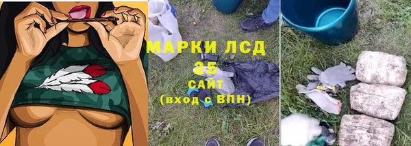 винт Пересвет