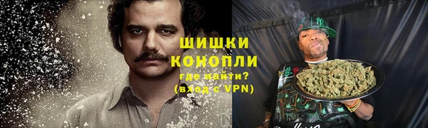 винт Пересвет