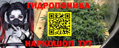 прущие крисы Гагарин
