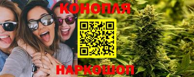прущие крисы Гагарин