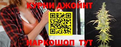 гидропоника Будённовск