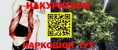 гидропоника Будённовск