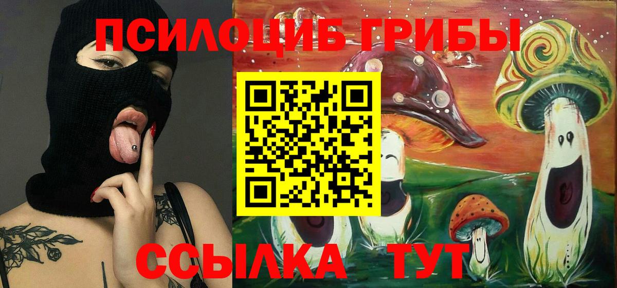 Кировск  Псилоцибиновые грибы ЛСД  Вход с VPN 